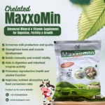 Maxxomin