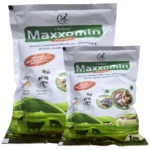 Maxxomin
