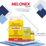 Melonex