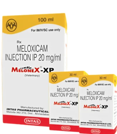 Melonex-XP