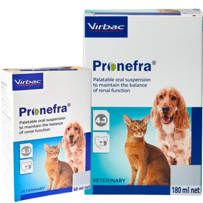 Pronefra