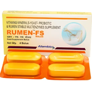Rumen FS