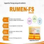 Rumen FS
