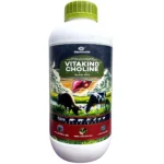 Vitakind Choline