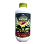 Vitakind Choline
