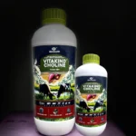 Vitakind Choline