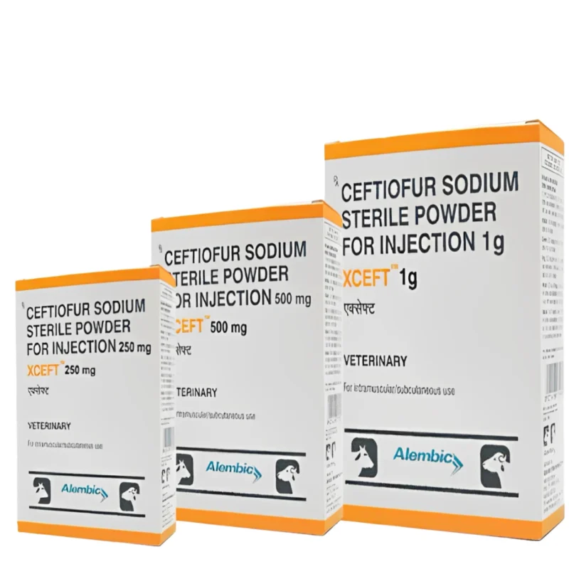 Xceft