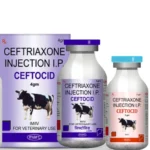 CEFTOCID