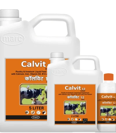Calvit 12