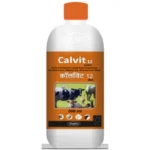 Calvit 12
