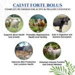 Calvit Forte