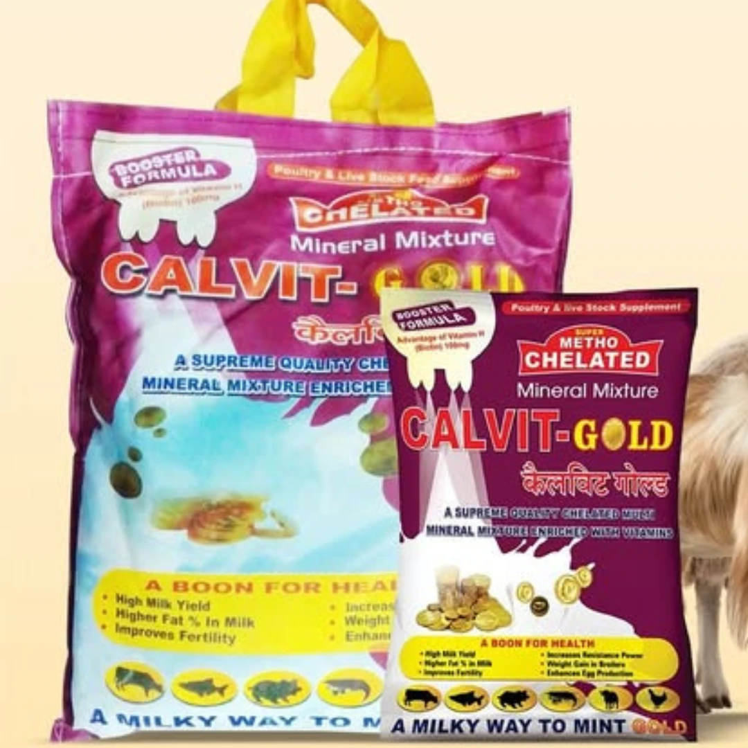 Calvit Gold