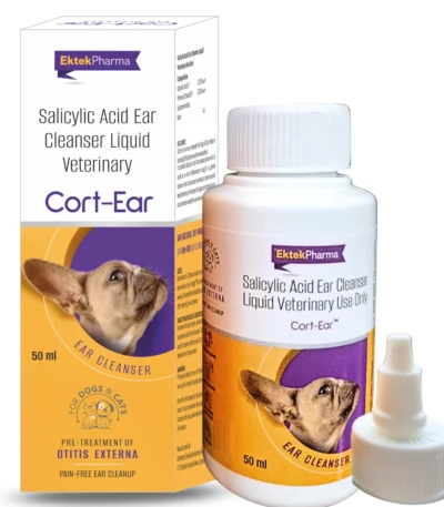 Cort Ear
