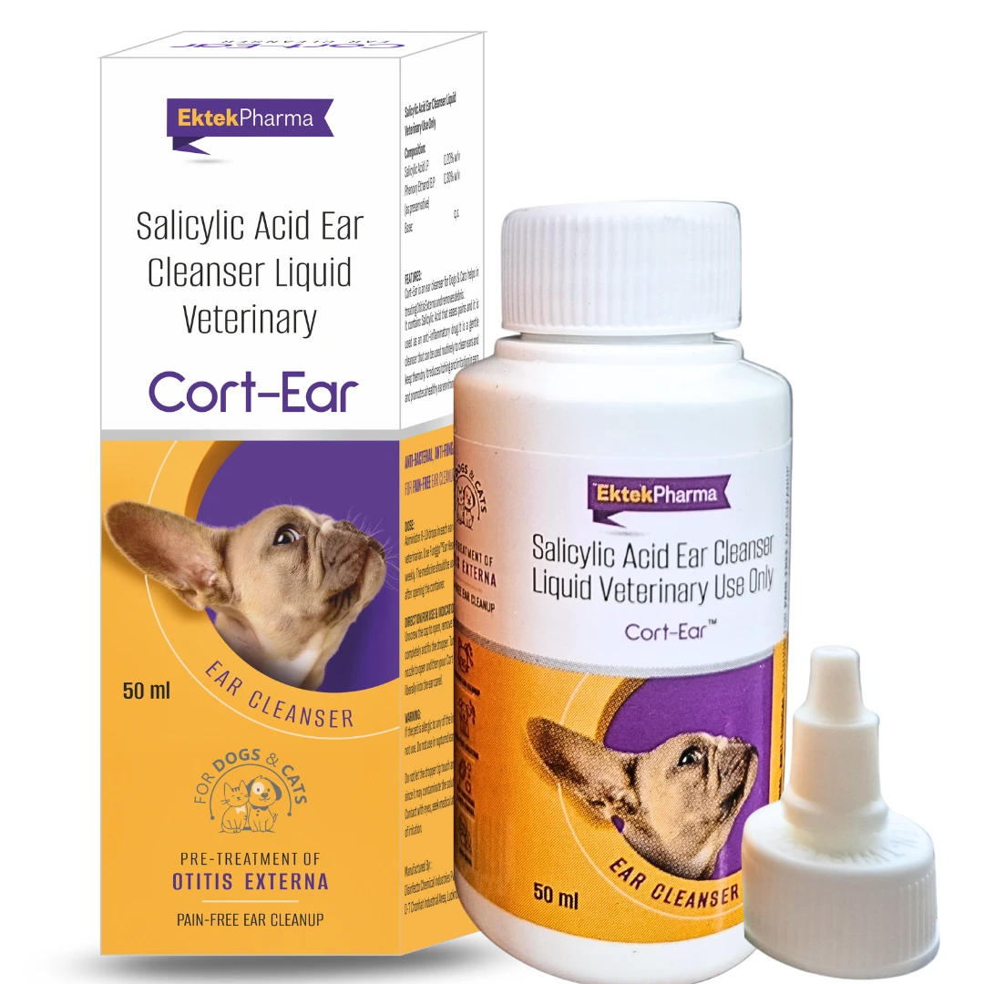 Cort Ear