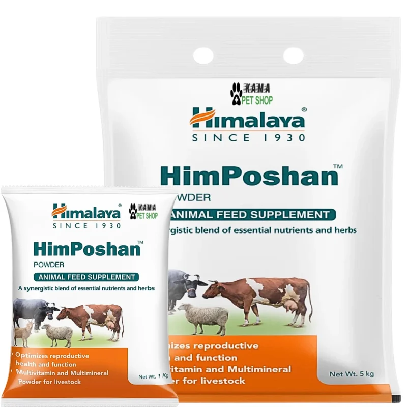 HimPoshan