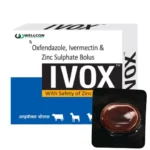 IVOX