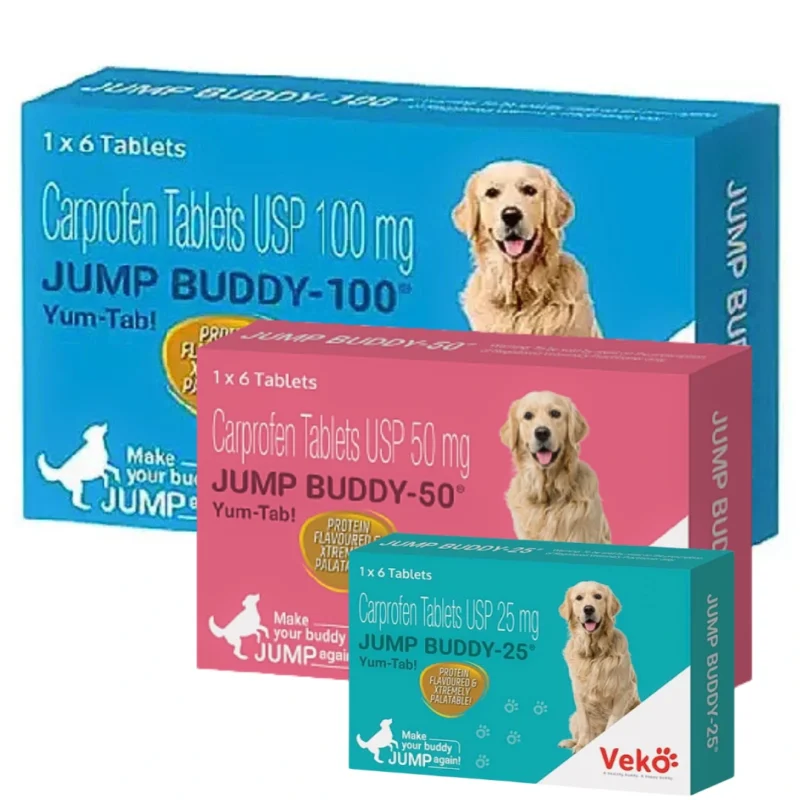Jump BUDDY