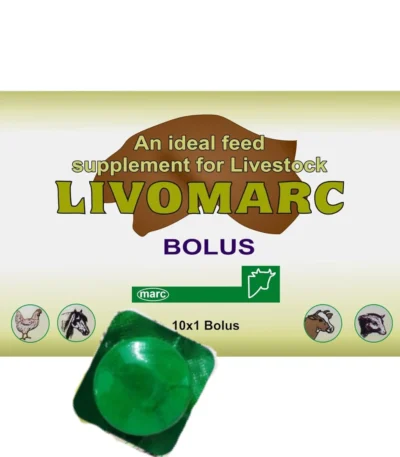 LIVOMARC