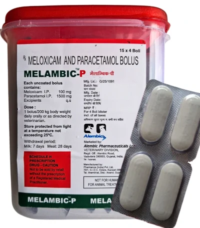 MELAMBIC
