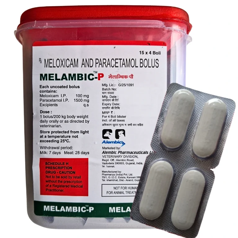 MELAMBIC