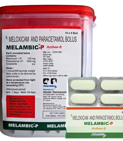 MELAMBIC