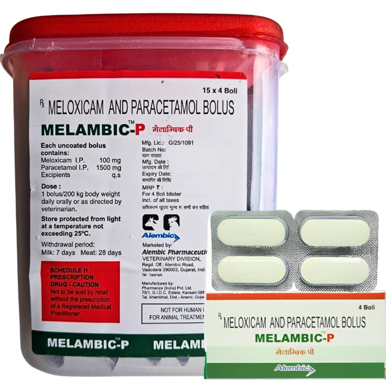 MELAMBIC
