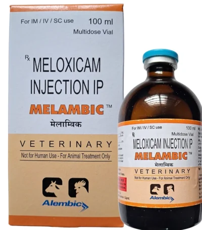 Melambic