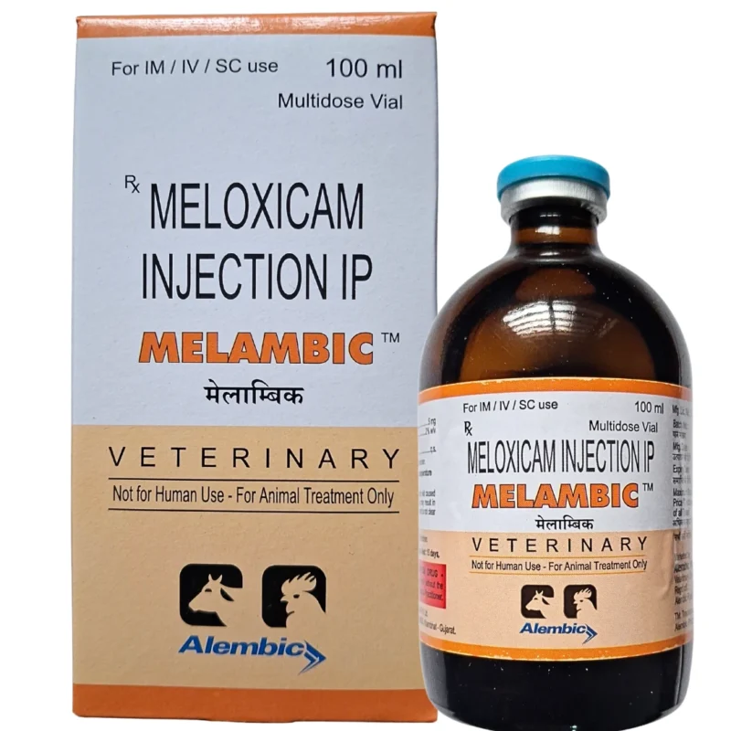Melambic