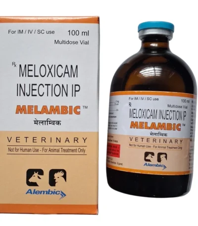 Melambic