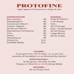 Protofine