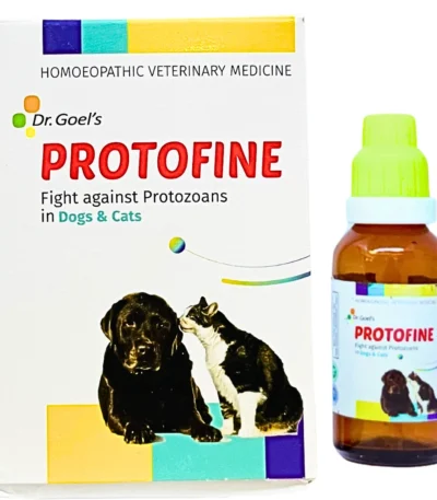 Protofine