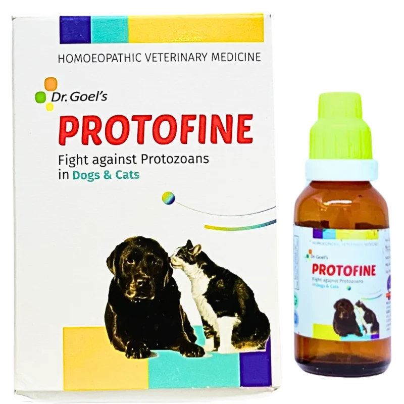 Protofine