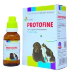 Protofine