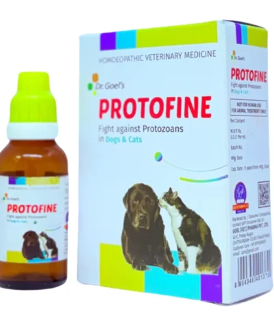 Protofine