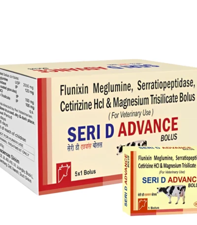 SERI D ADVANCE