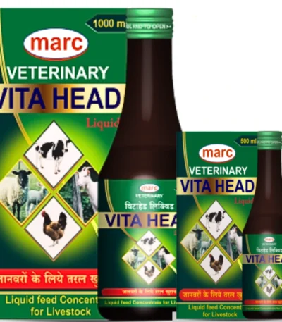 Vita Head