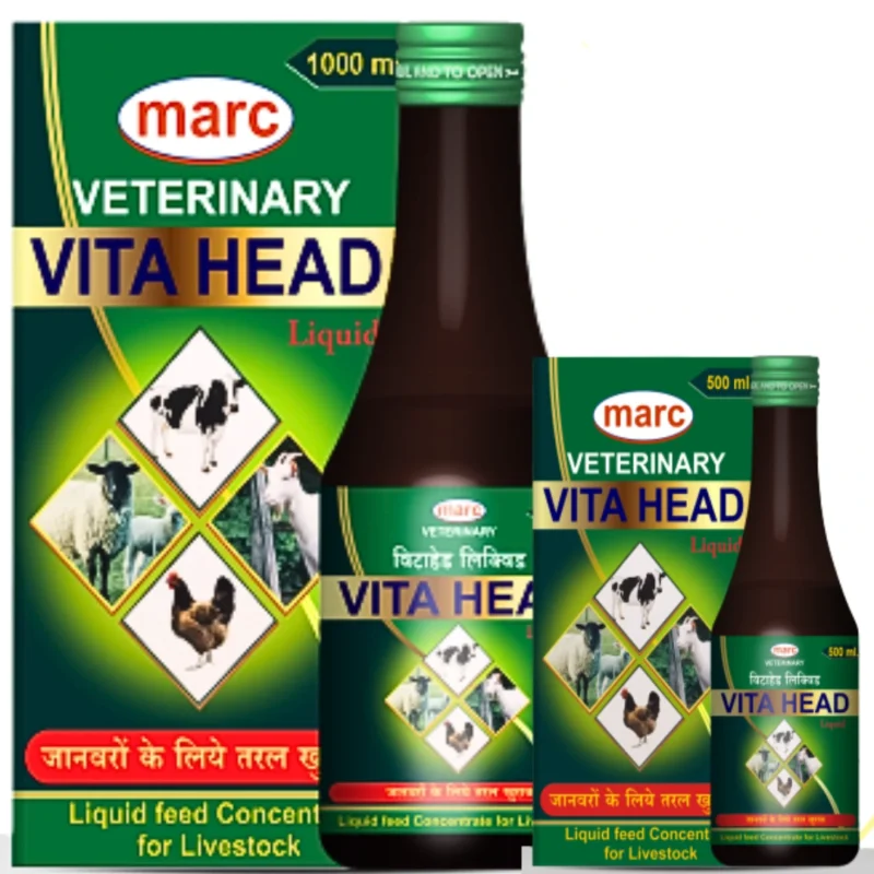 Vita Head
