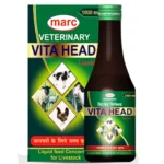 Vita Head