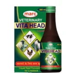 Vita Head