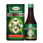 Vita Head