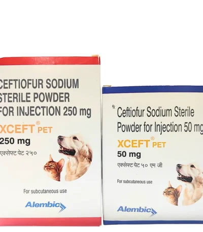 XCEFT