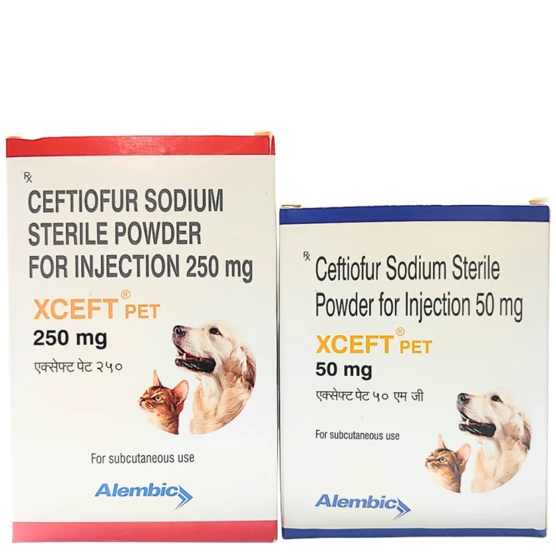 XCEFT