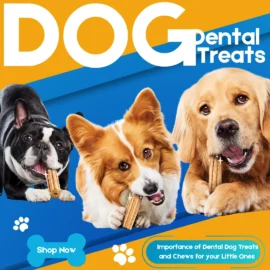 Dental Treats