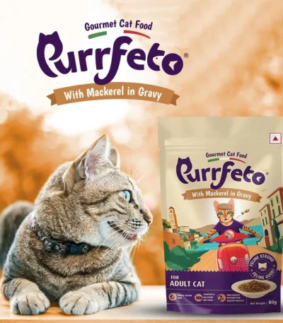 Purrfeto