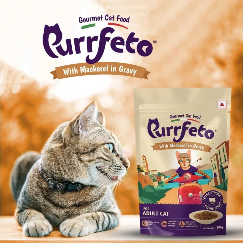 Purrfeto