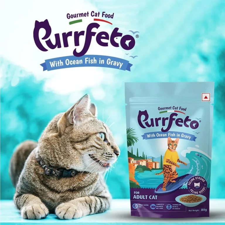 Purrfeto Ocean Fish Adult Cat Food Wet Gravy