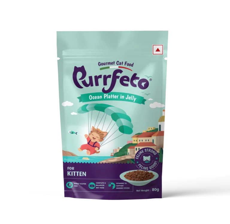 Purrfeto Ocean Fish Kitten