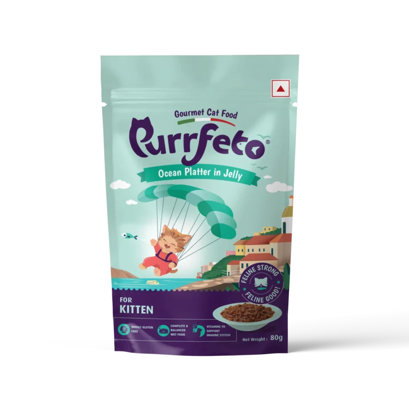 Purrfeto Ocean Fish Kitten