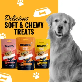 Soft & Chewy Treats