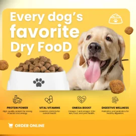 dry-food-dogs